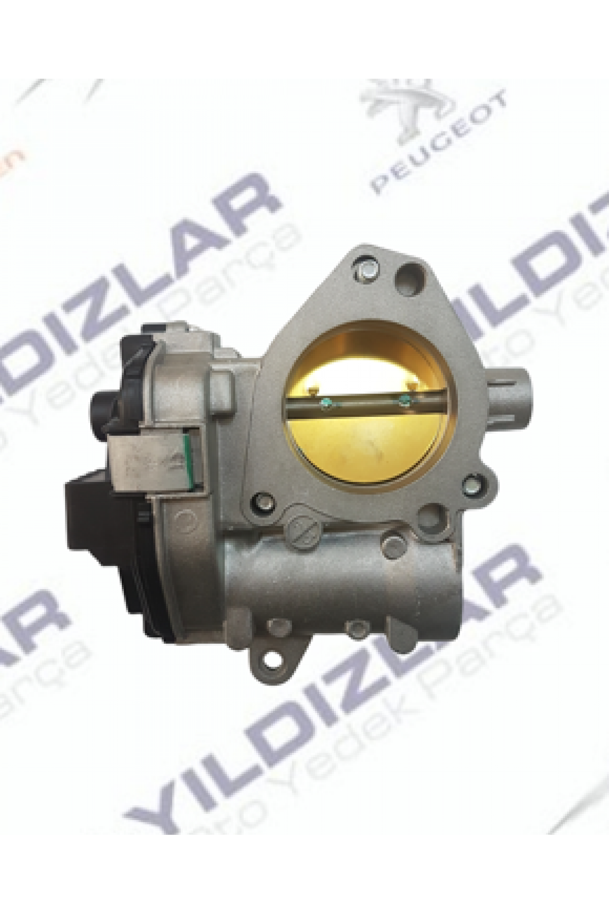 Citroen Hava Dözörü (Gaz Kelebeği) 1635W2