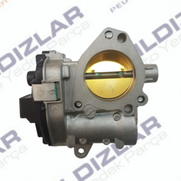 Citroen Hava Dözörü (Gaz Kelebeği) 1635W2