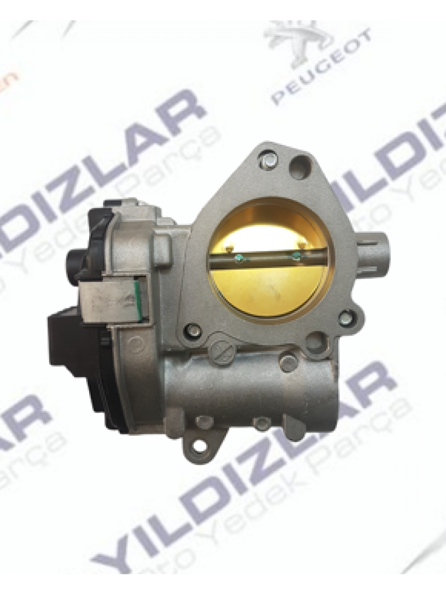 Citroen Hava Dözörü (Gaz Kelebeği) 1635W2
